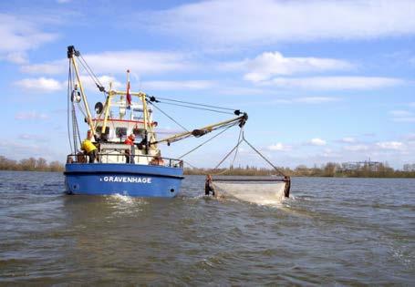 visstanden in kaart te brengen; de FGRA (Tabel 1.1) op de grote rivieren en de FYMA (Tabel 1.