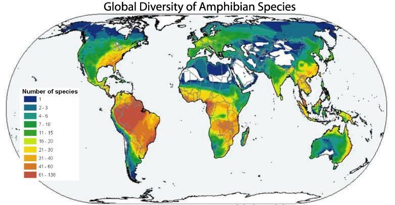 Amfibieën diversiteit