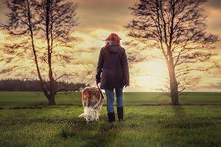 Opdracht Week 1 Wanneer geef je sturing? Volg je hond eens als hij aan een lange lijn (5 of 10m) loopt. Merk op wanneer je de neiging hebt om sturing of richting te geven.