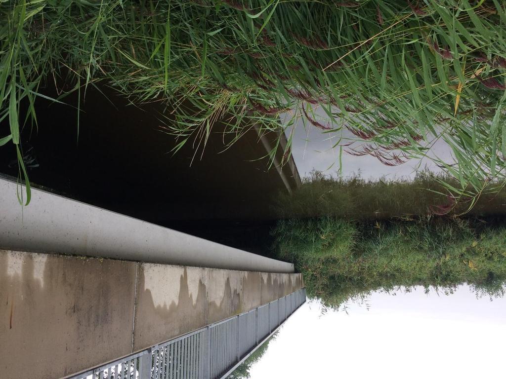 3.3.3 Faunapassage N253 Oostburg, De Lieter De aangelegde voorziening betreft een watergang met aan beide zijde doorlopende oevers van twee meter breed.