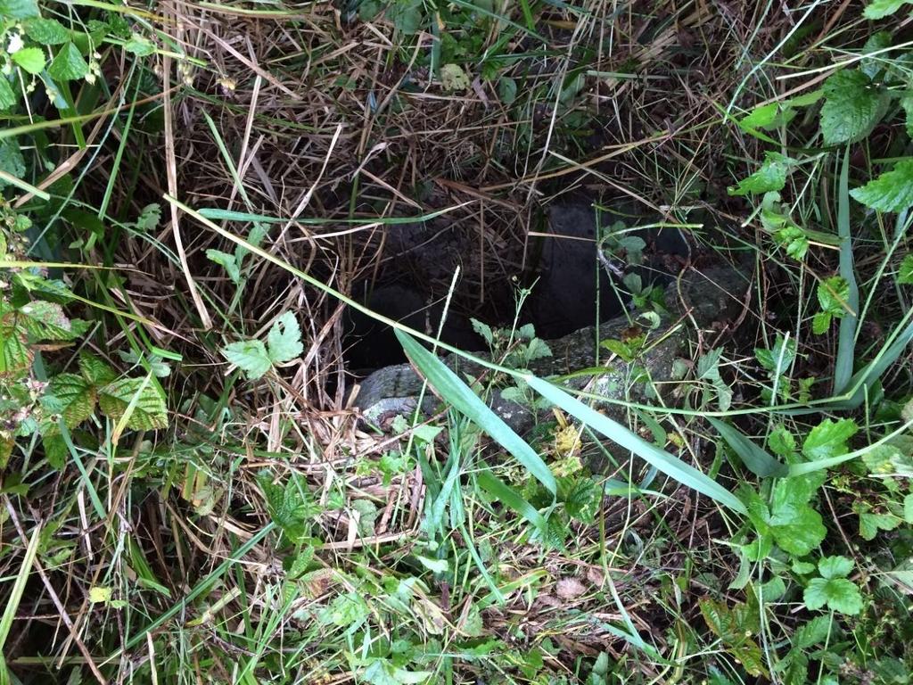 3.3 Inspectie en aanbevelingen faunapassages 3.3.1 Faunapassage N253 Sluis De voorziening betreft een grote ronde dichte faunabuis (diameter 0,8 meter) onder de weg door.