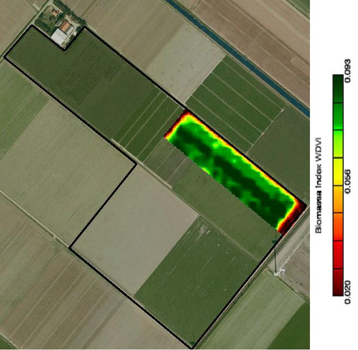 Terrasphere kaarten Terrasphere produceert vegetatie-index kaarten van individuele percelen op basis van satellietbeelden gedurende het groeiseizoen.