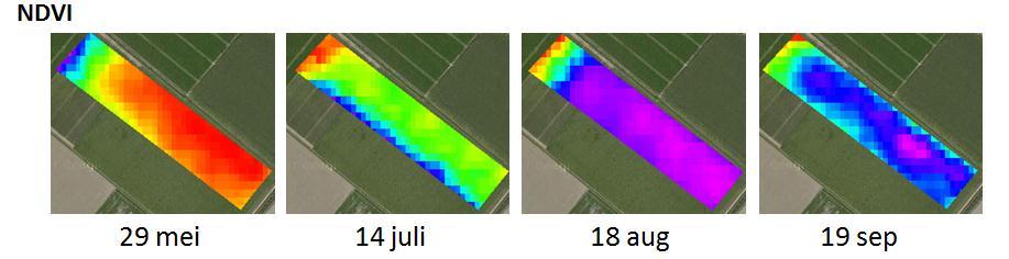 aardappelperceel Q28_2 in 2010.