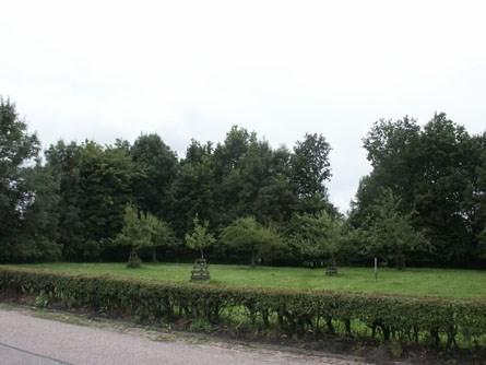 G BEUKENHAGEN Aan de oostzijde van de nieuwe woning tussen de tuin en de weg naar huis en aan de westzijde van de nieuwe woning tussen de tuin en de boomgaard worden enkele beukenhagen aangelegd.