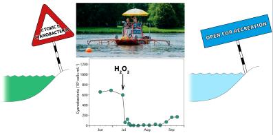 Waterstofperoxide: (selectieve) bestrijding van blauwalgen in meren En dinoflagellaten an Acknowledgements Miquel Lürling (Wageningen University) for lending e