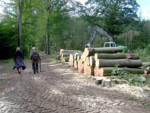 html (Meer informatie) 11 Multifunctioneel bos Beheer keuzes 460 hectare van het landgoed bestaat uit bos. Bos is in Nederland altijd multifunctioneel.