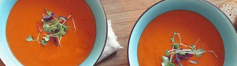 Feestsoepen Bospaddestoelensoep Tomatencrèmesoep met balletjes Kreeftenroomsoep met grijze garnaaltjes 5,65/liter 4,35/liter 8,50/liter 1liter soep is voldoende voor 3 soepborden.