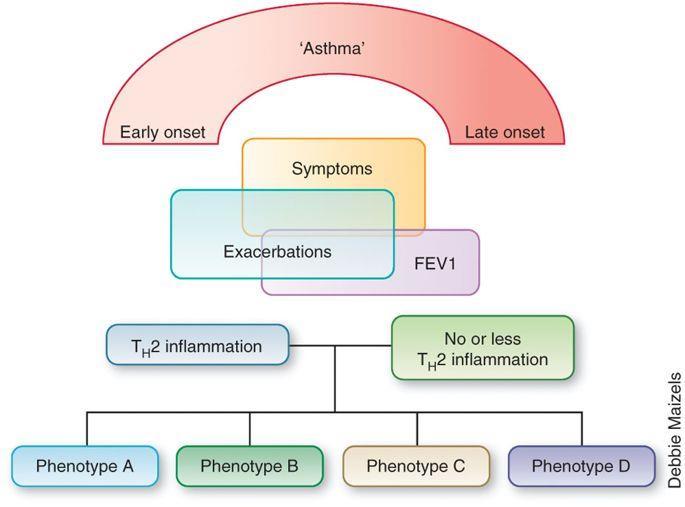 Astma fenotypes Onset Severity Inflammatory