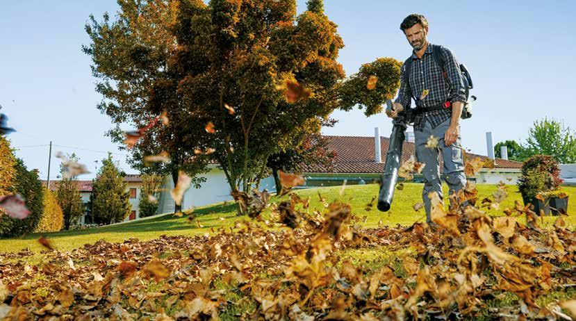 Bladblazers Voor een nette en gezonde tuin dienen bladeren regelmatig te worden verwijdert, om de kans op vorming van schimmels en mos te verminderen.