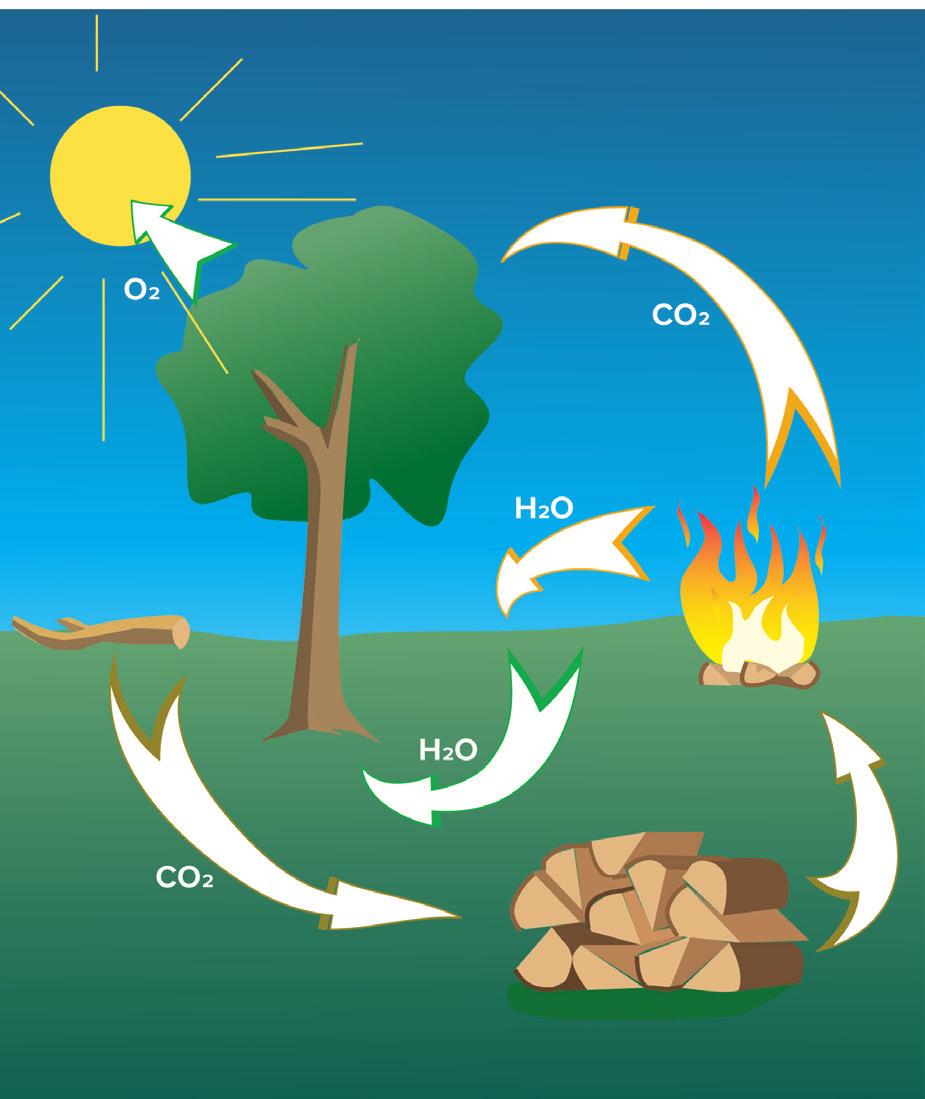 De schoorsteen Wat informatie over het schoorsteeneffect... Nieuwe houtkachels zijn zeer efficiënt en sturen daarom niet veel warmte de schoorsteen in.