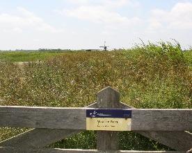 Handwijzer: - Den Burg (links) - De Cocksdorp (rechts) Terreinborden ACTIE inventariseren waar nodig en