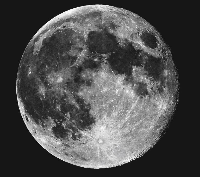 Activiteit dieren en de maan Stel het is volle maan. Sommige dieren gedragen zich anders met volle maan. Dat komt door de hoeveelheid licht.