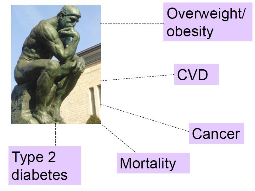 gezondheid RIVM; 2014 Overgewicht / obesitas
