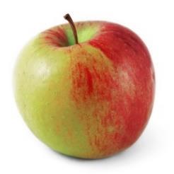 Deze week op dinsdag appel, woensdag pomelo en op donderdag sinaasappel. Op de woensdag mogen de leerlingen zelf nog een stuk fruit meenemen omdat ze maar een klein stukje pomelo krijgen.