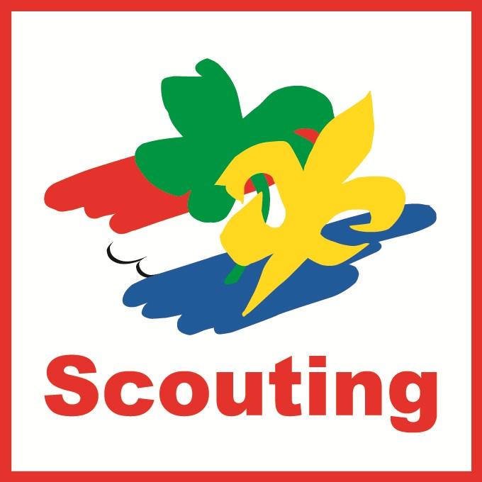 Avond 1: De meerwaarde van een bestuur Avond 2: Hoe organiseren we een Scoutingvereniging Avond 3: Vinden, binden, boeien en groeien Avond 4: Op koers: ambitie en strategie bepalen Trainingen Regio