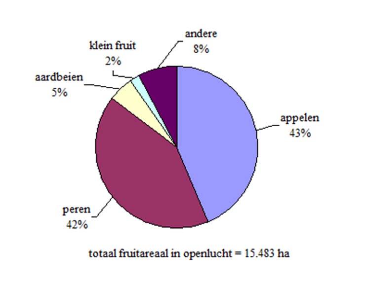 Het areaal fruitteelt onder glas bedraagt 290 ha en is goed voor bijna 2% van het totale areaal fruitteelt. Het laatste decennium is dit areaal met 70% toegenomen.