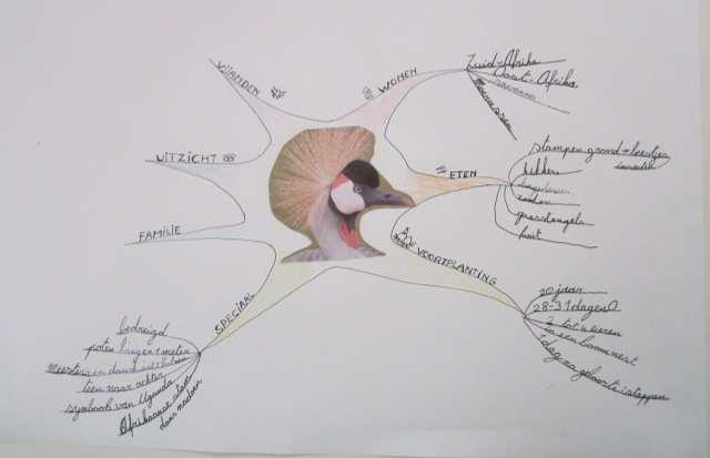 mindmaps aan