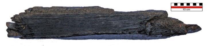 Met snorkelen werden veel houtfragmenten gevonden en geborgen.