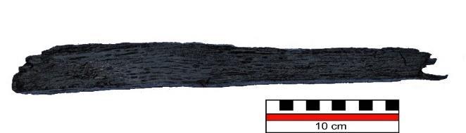 De vormen lijken sterk antropogeen. Op positie C (Afbeelding 8) werd een circa 3 m lange 50 cm dikke boomstam waargenomen.