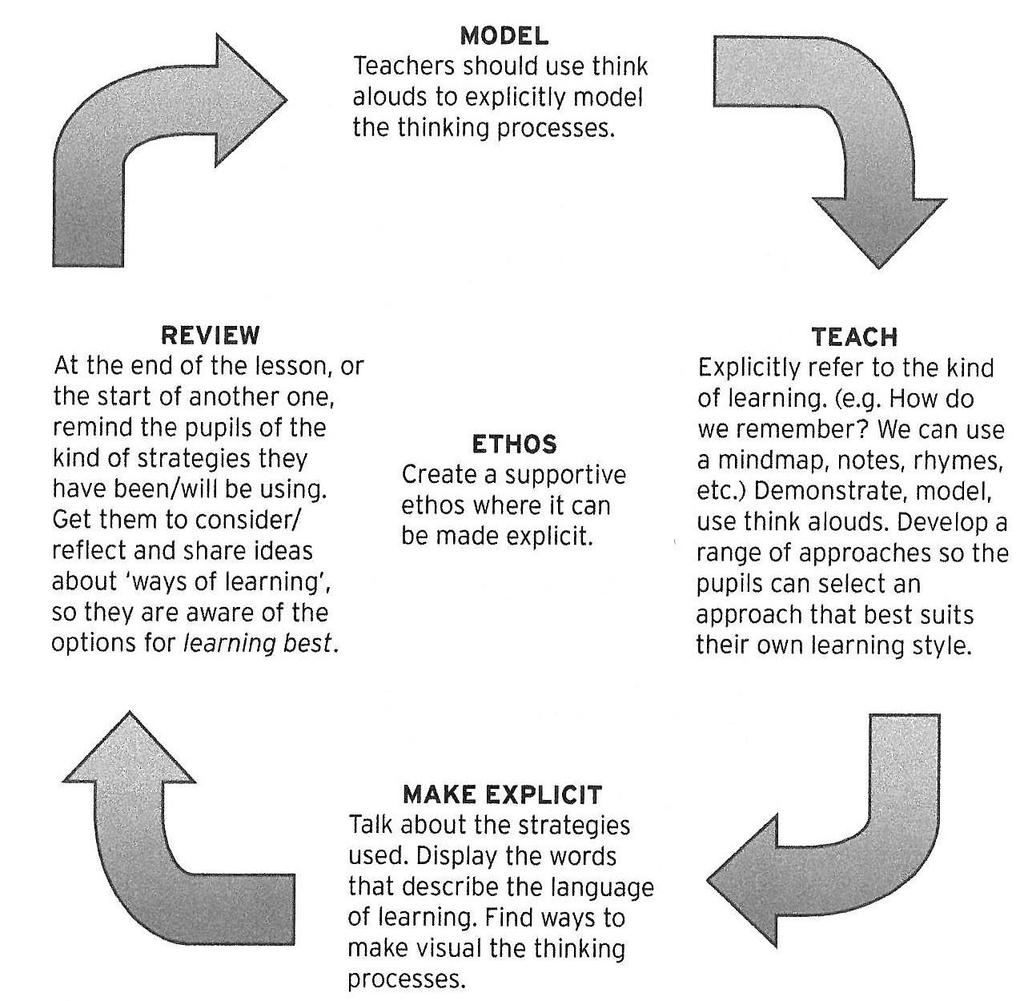 De metacognitieve cyclus Het expliciet maken door het model staan, onderwijzen verwoorden, en terugkijken op het leerproces.