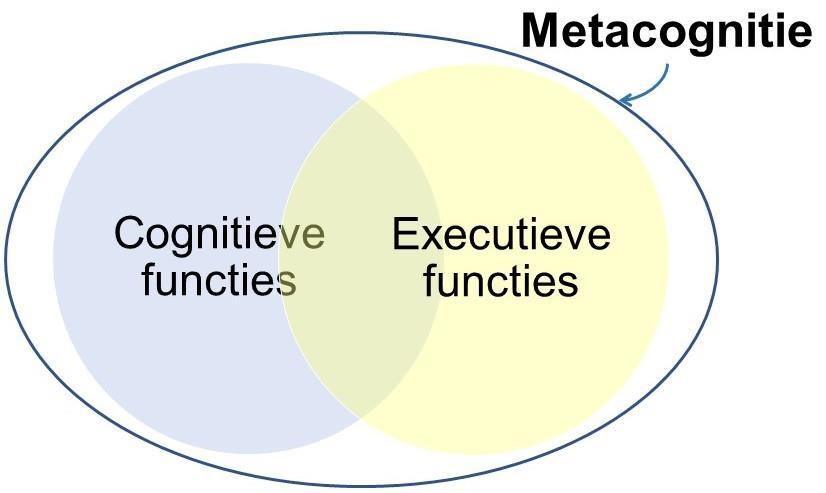 F. Metacognitie en cognitie Larson en Gerber (1992) beschouwen metacognitie, metacomponenten, executieve functies en metacognitieve kennis als min of meer verwante constructen waarbij het gaat om