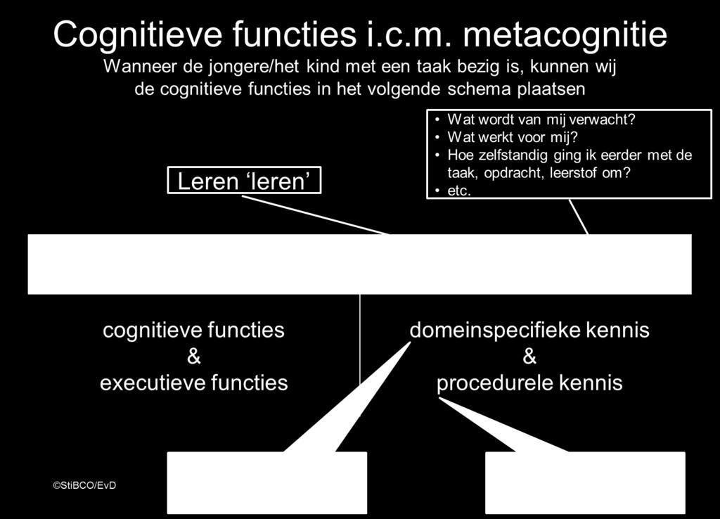 functies, executieve functies en de metacognitie in