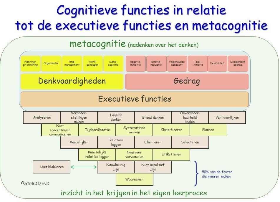 I. Metacognitie in relatie tot de cognitieve functies en de executieve functies De term executieve functies is geïntroduceerd door neurowetenschappers.