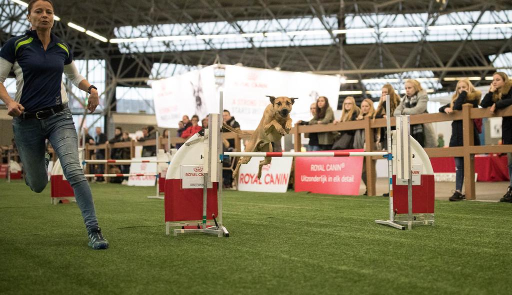 Hond2018: alle facetten over houden van honden Naast de World Dog Show 2018 vindt op 14, 15 en 16 december ook het jaarlijkse hondenevenement Hond2018 plaats in de Amsterdam RAI.
