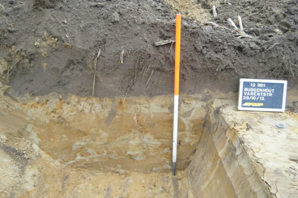 De bodem is op de bodemkaart weergegeven als een matig droge lichte zandleembodem met sterk gevlekte, verbrokkelde textuur B horizont (Pcc(h)).