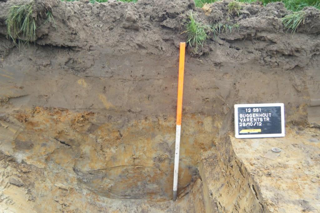 De vaststelling van een matig droge lichte zandleembodem in het zuidoosten van het onderzoeksgebied sluit aan bij de verwachtingen op basis van de bodemkaart.