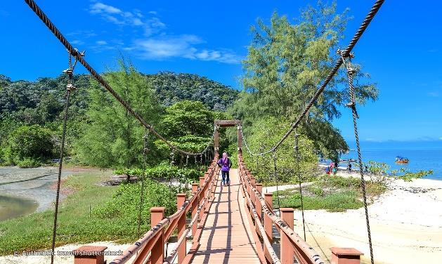 We bereiken het nationaal park per boot, stappen uit op het strand, we ontdekken de mooie jungle tijdens een wandeling en vertrekken terug per boot.