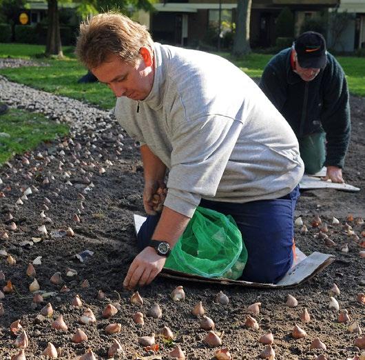 Buurtinitiatief/Handmatig planten 27 Buurtinitiatief/ Handmatig planten Op