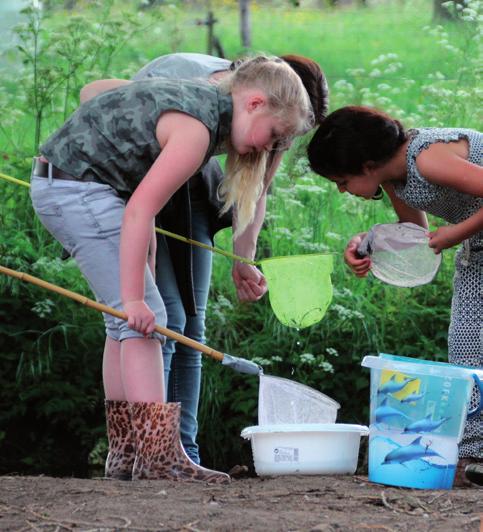 Ontwikkelingsperspectief Hierin staan de doelen die het kind kan behalen en biedt handvatten waarmee de leerkracht het onderwijs kan afstemmen op de onderwijsbehoefte van het kind.