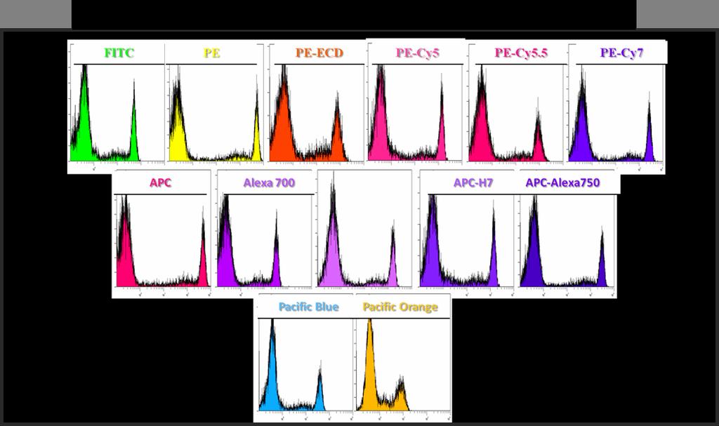 Fluorochromes available for 10 colour Bright fluorochromes: : to detect