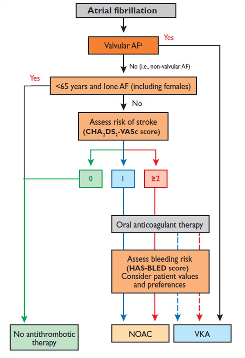 ATRIUMFIBRILLEREN RICHTLIJNEN NVVC/ESC: NOAC s in alle trials gelijkwaardig aan VKA bij de preventie van tromboembolische complicaties ten gevolge van non-valvulair AF.