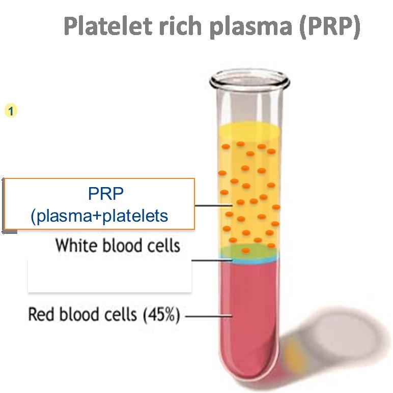 Aggregation of blood platelets by