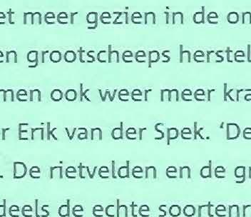 Het zijn weer grotendeels de echte soortenrijke natte duinvalleivegetaties die er vroeger ook gestaan moeten hebben.