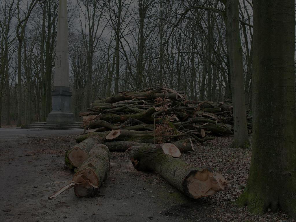 duurzaamheidsprincipes doorzetten in beheer gebouwenpatrimonium inzet lokale biomassa voor verwarming gebouwen lokaal geproduceerd