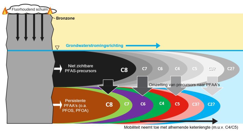 Figuur 11 Conceptueel model PFAS verspreiding De volgende fysische en chemische eigenschappen zijn van belang voor verspreiding van PFAS via het (grond)water: Oplosbaarheid in water: De