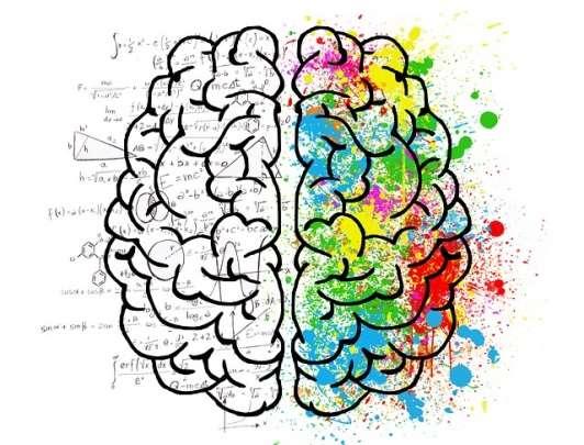 Waarom is een mindmap effectief? De belangrijkste reden dat een mindmap effectief is in het onderwijs, is dat ze nauw aansluit bij de manier waarop onze hersenen werken.