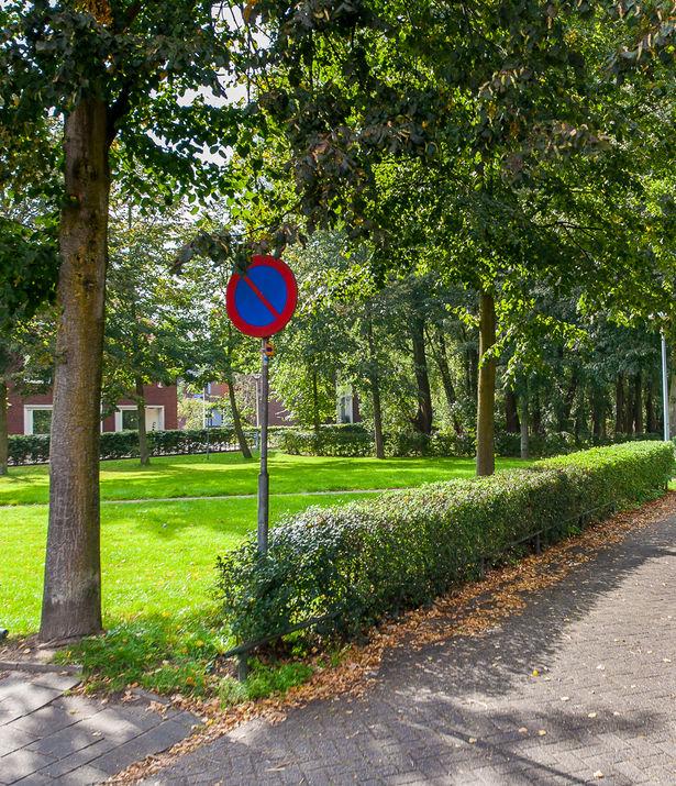 Naast het groen zijn er sportfaciliteiten en speelfaciliteiten in het