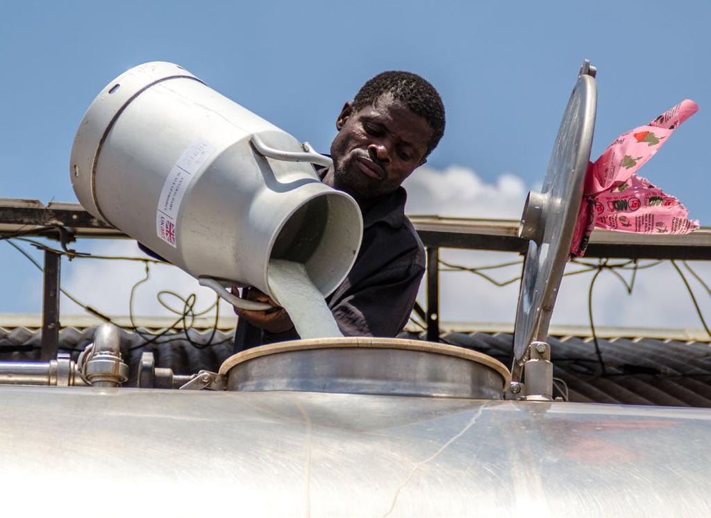 Jaarverslag Heifer Nederland 2015 Onze projecten In Malawi wordt gebruik gemaakt van solar-energie om melk te koelen.