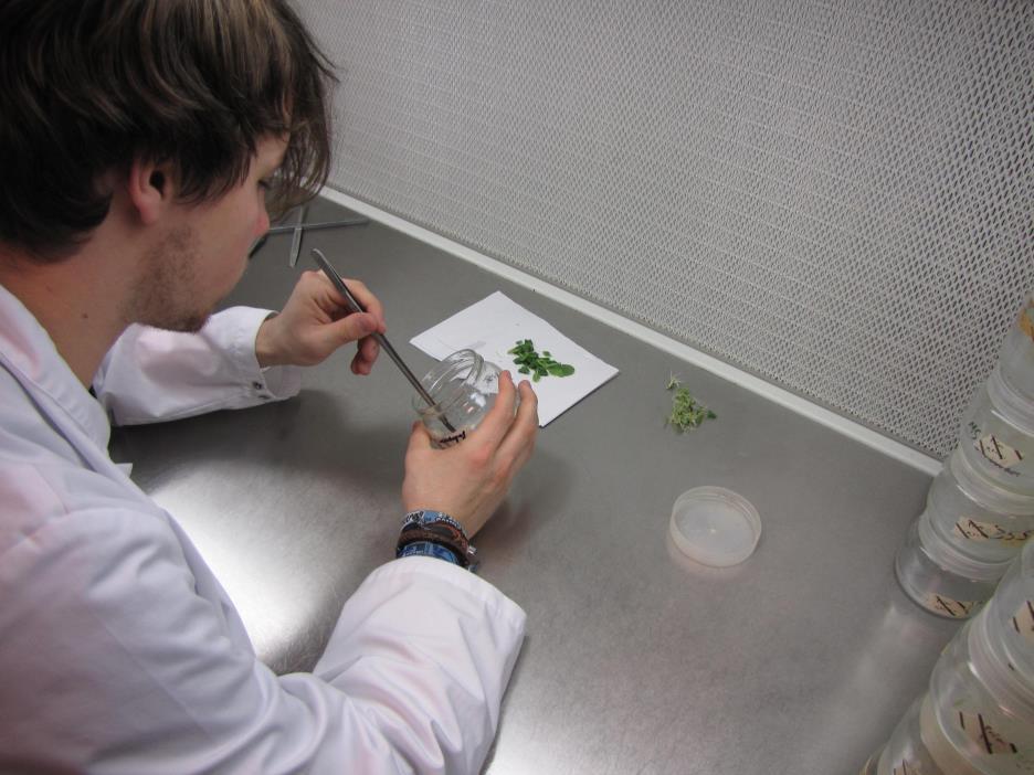 Matthias was actief op het expertisecentrum (EC) biotechnologie van het HIVB.