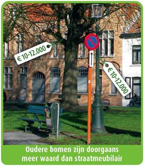 Waarom bomen beschermen?