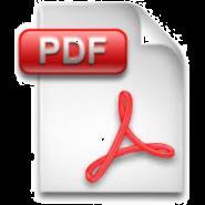 PDF File