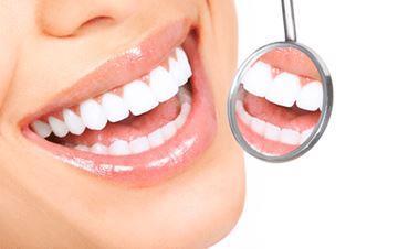 Tandheelkunde Cariologie Endodontologie Parodontologie Prothetische tandheelkunde Implantologie