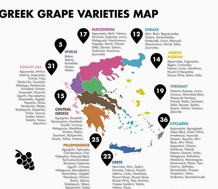 Druivensoorten: Griekse druiven zijn er in overvloed. Men heeft een 300tal inheemse druivenrassen. Ook worden er niet inheemse rassen gebruikt zoals chardonnay, sauvignon blanc.