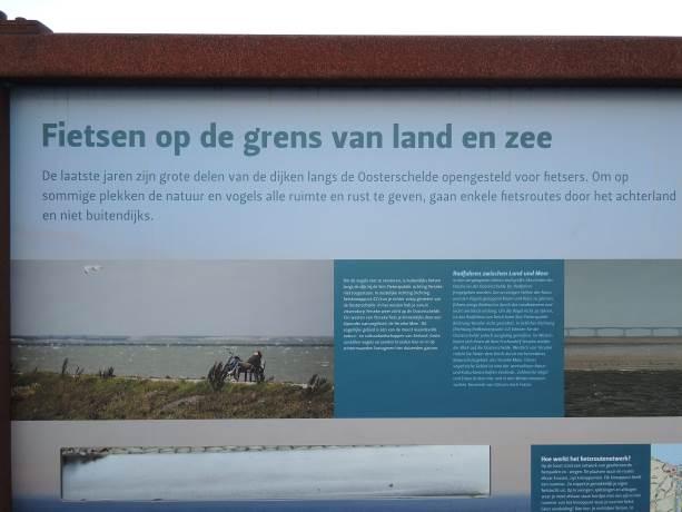 4 Conclusies en aanbevelingen Het buitendijkse dijktracé langs de Sint Pieterspolder en Nieuw Olzendepolder heeft een belangrijke functie als hoogwatervluchtplaats voor een aantal soorten steltlopers