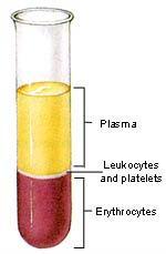 bloedplaatjes standaard gedeleukocyteerd ( pool plaatjes ) gedeleukocyteerd één-donorbloedplaatjesconcentraat ( single donor ) o bereid uit 4 à 6 bloedgiften (4 à 6 buffy coats) o aferese bij
