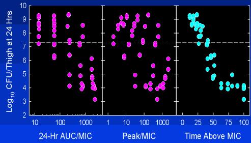 Onderzoek naar PKPD targets - muismodellen Neutropenic murine model
